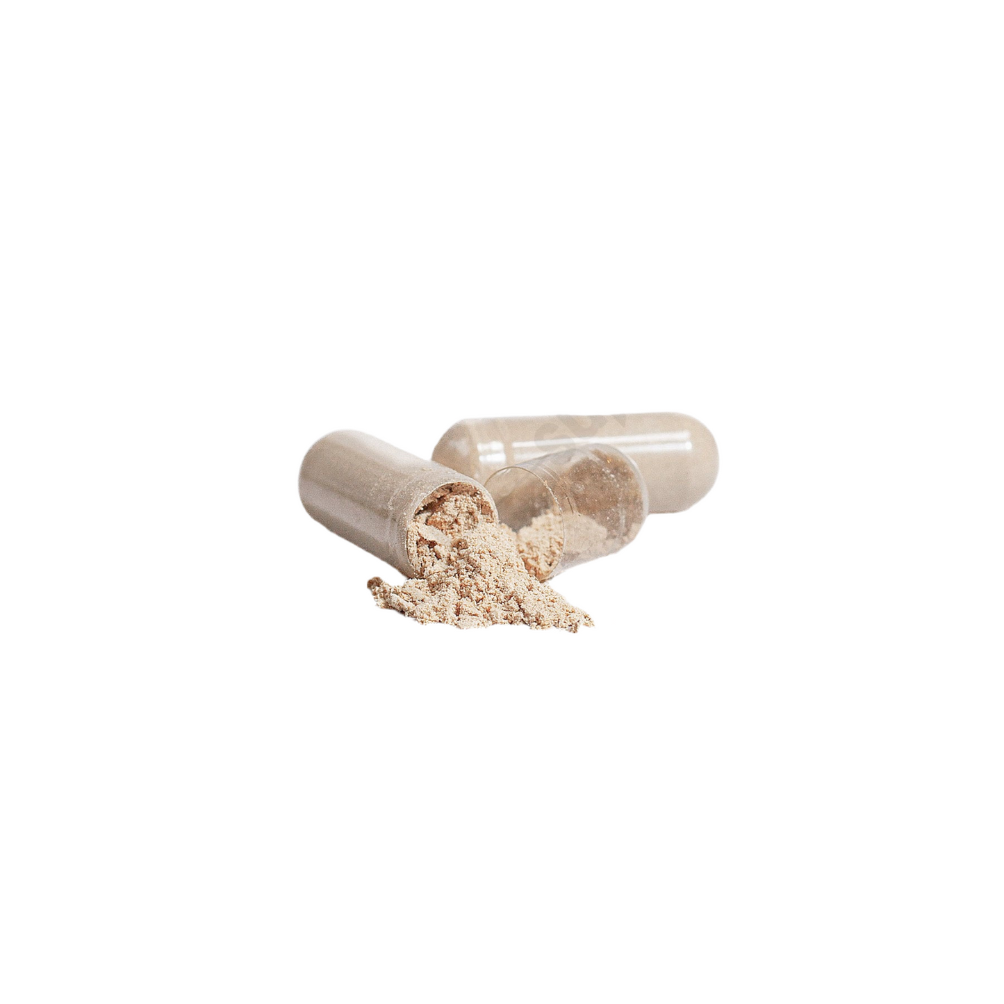 V Legend Reishi Mushroom Adult (GMP CERTIFICATE)