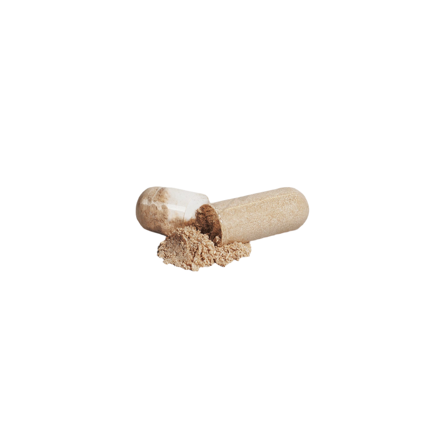 V Legend Mushroom Complex 10 X ~(Adult) FDA +NSF CERTIFICATES