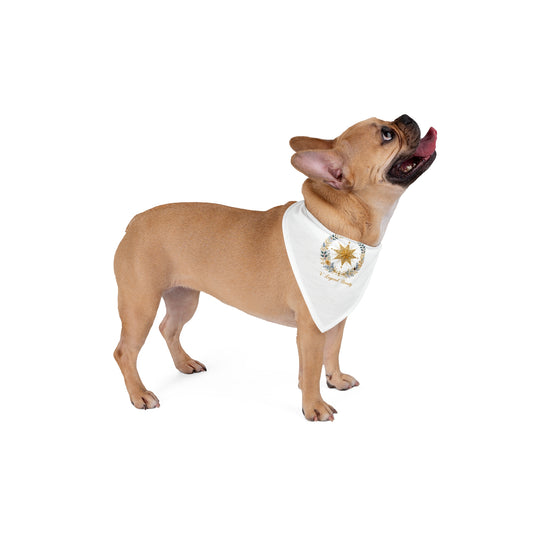 V Legend Beauty Christmas Bethlehem Star Pet Bandana